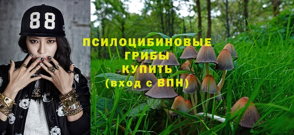 apvp Беломорск
